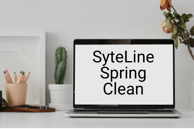 SyteLine Spring Clean on computer screen