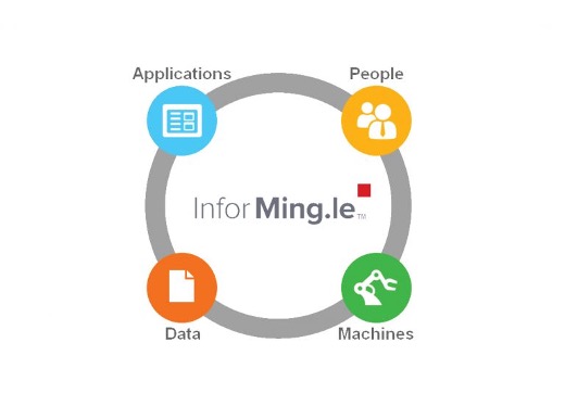 Mingle infographic